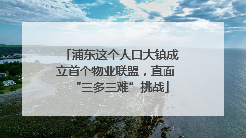 浦东这个人口大镇成立首个物业联盟，直面“三多三难”挑战