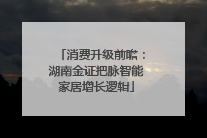 消费升级前瞻：湖南金证把脉智能家居增长逻辑