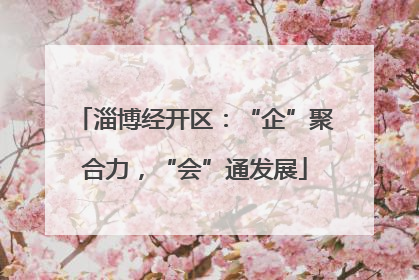 淄博经开区：“企”聚合力，“会”通发展