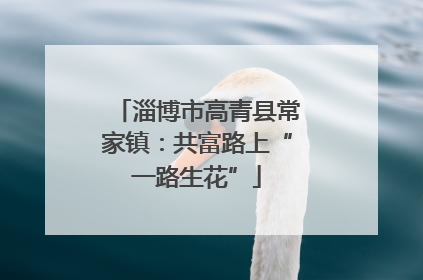 淄博市高青县常家镇：共富路上“一路生花”
