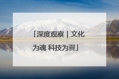 深度观察｜文化为魂 科技为翼