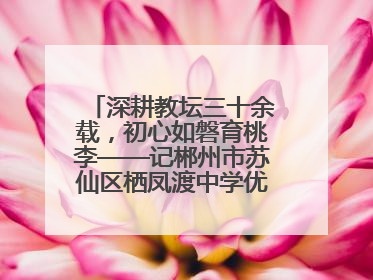 深耕教坛三十余载，初心如磐育桃李——记郴州市苏仙区栖凤渡中学优秀教师黄辉华