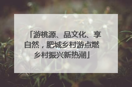 游桃源、品文化、享自然，肥城乡村游点燃乡村振兴新热潮