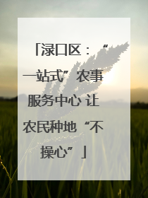 渌口区：“一站式”农事服务中心 让农民种地“不操心”