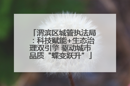 渭滨区城管执法局：科技赋能+生态治理双引擎 驱动城市品质“蝶变跃升”