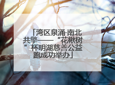 湾区泉涌·南北共擎——“花楸树”杯明湖慈善公益跑成功举办