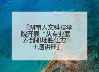 湖南人文科技学院开展“从专业素养到职场胜任力”主题讲座