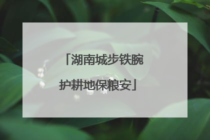 湖南城步铁腕护耕地保粮安
