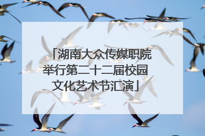 湖南大众传媒职院举行第二十二届校园文化艺术节汇演