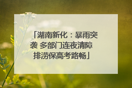 湖南新化：暴雨突袭 多部门连夜清障排涝保高考路畅