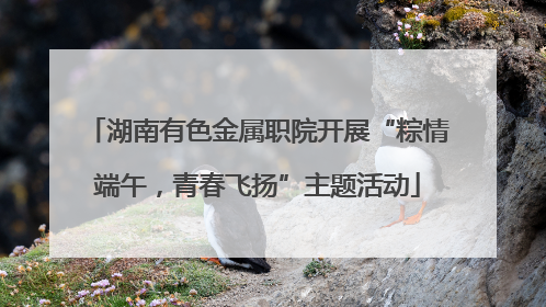 湖南有色金属职院开展“粽情端午，青春飞扬”主题活动