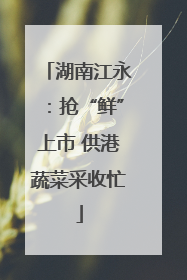 湖南江永：抢“鲜”上市 供港蔬菜采收忙