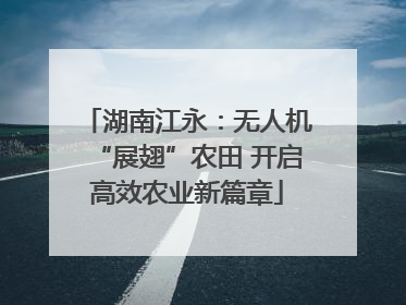 湖南江永：无人机“展翅”农田 开启高效农业新篇章