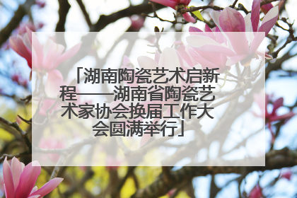 湖南陶瓷艺术启新程——湖南省陶瓷艺术家协会换届工作大会圆满举行