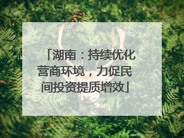 湖南：持续优化营商环境，力促民间投资提质增效
