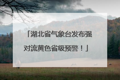 湖北省气象台发布强对流黄色省级预警！