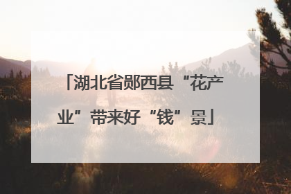 湖北省郧西县“花产业”带来好“钱”景