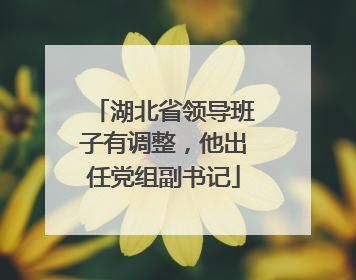 湖北省领导班子有调整，他出任党组副书记
