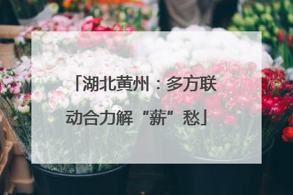 湖北黄州：多方联动合力解“薪”愁