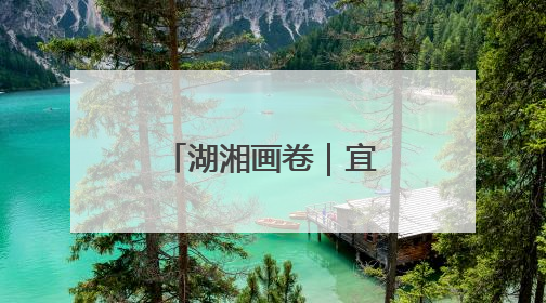 湖湘画卷｜宜章：云雾绕茶山 绿叶变金叶