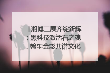 湘博三展齐绽新辉：黑科技激活石之魂，翰墨金影共谱文化遗产日华章