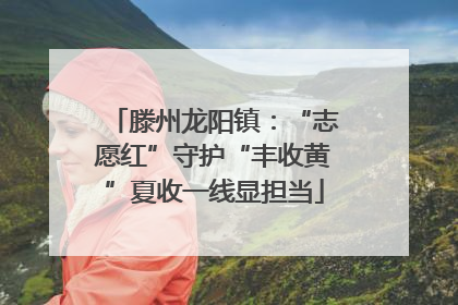 滕州龙阳镇：“志愿红”守护“丰收黄”夏收一线显担当