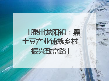 滕州龙阳镇：黑土豆产业铺就乡村振兴致富路