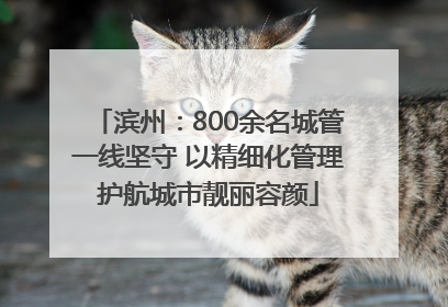 滨州：800余名城管一线坚守 以精细化管理护航城市靓丽容颜