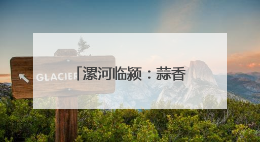 漯河临颍：蒜香盈野映丰年 机械赋能兴乡村