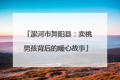 漯河市舞阳县：卖桃男孩背后的暖心故事