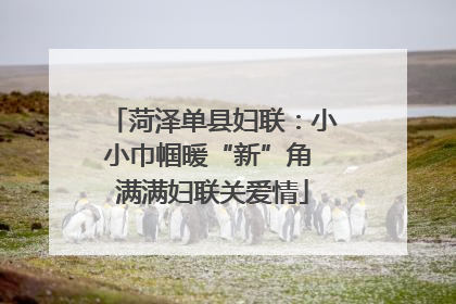 菏泽单县妇联：小小巾帼暖“新”角 满满妇联关爱情