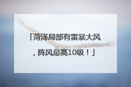 菏泽局部有雷暴大风，阵风最高10级！