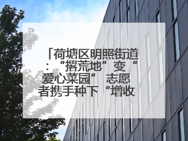 荷塘区明照街道：“撂荒地”变“爱心菜园” 志愿者携手种下“增收希望”