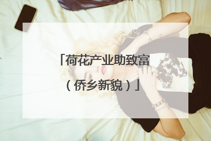 荷花产业助致富（侨乡新貌）