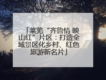 莱芜“齐鲁情 映山红”片区：打造全域景区化乡村、红色旅游新名片
