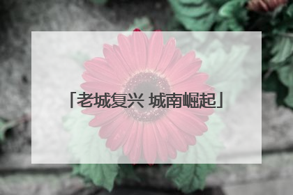 老城复兴 城南崛起