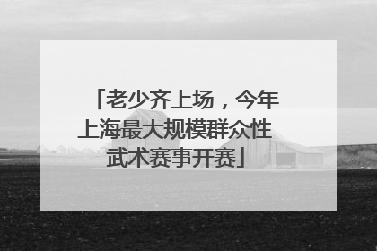 老少齐上场，今年上海最大规模群众性武术赛事开赛