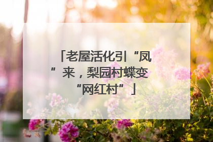 老屋活化引“凤”来，梨园村蝶变“网红村”