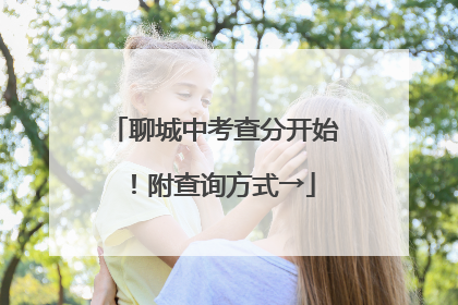 聊城中考查分开始！附查询方式→