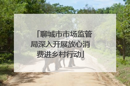 聊城市市场监管局深入开展放心消费进乡村行动