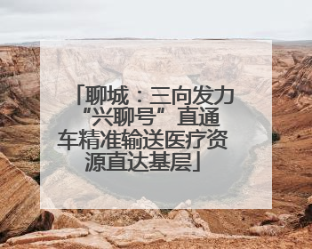 聊城：三向发力 “兴聊号”直通车精准输送医疗资源直达基层