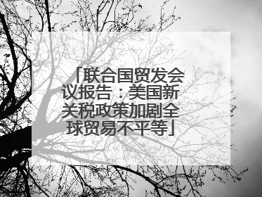 联合国贸发会议报告：美国新关税政策加剧全球贸易不平等