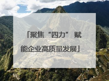 聚焦“四力” 赋能企业高质量发展