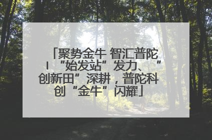 聚势金牛 智汇普陀〡“始发站”发力、“创新田”深耕，普陀科创“金牛”闪耀