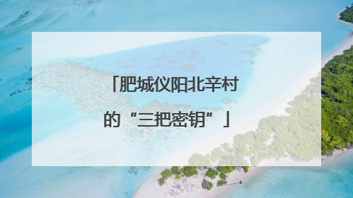 肥城仪阳北辛村的“三把密钥”