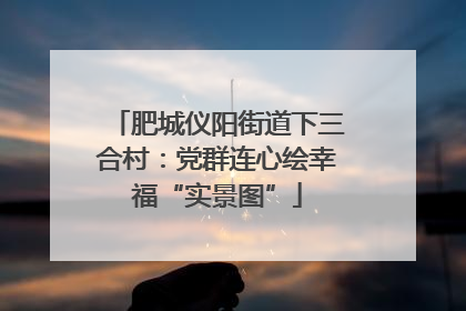 肥城仪阳街道下三合村：党群连心绘幸福“实景图”