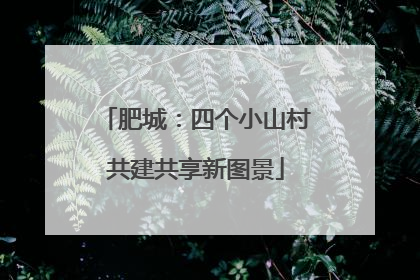 肥城：四个小山村共建共享新图景
