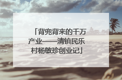 背兜背来的千万产业——清镇民乐村杨敏珍创业记