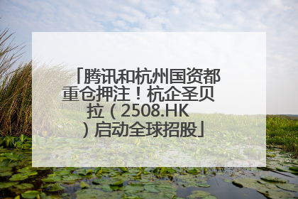 腾讯和杭州国资都重仓押注！杭企圣贝拉（2508.HK）启动全球招股