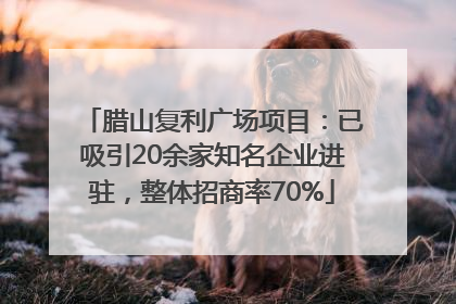 腊山复利广场项目：已吸引20余家知名企业进驻，整体招商率70%